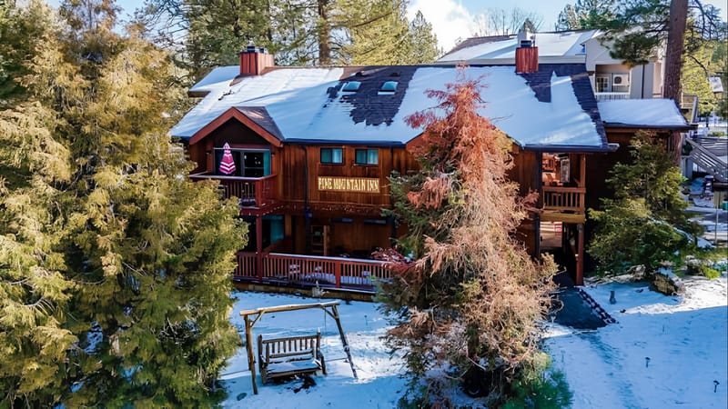 Pine Mountain Inn's timber exterior under the pines